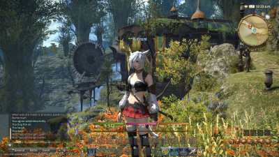 ffxiv_29102016_102355.png